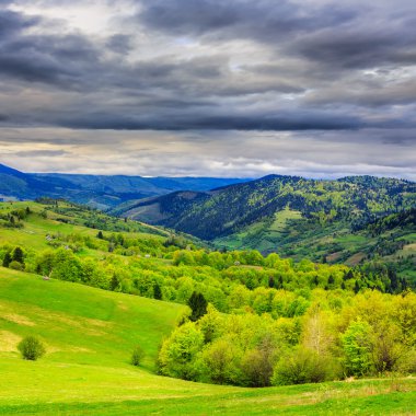 hillside çayır dağ orman