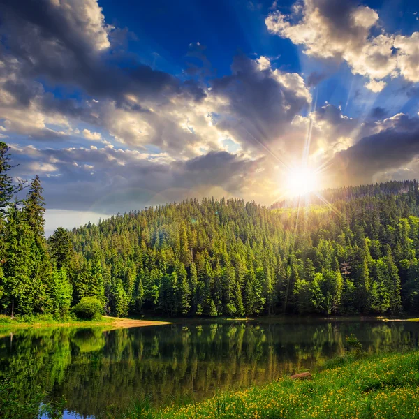 Pineta e lago vicino alla montagna al tramonto — Foto Stock