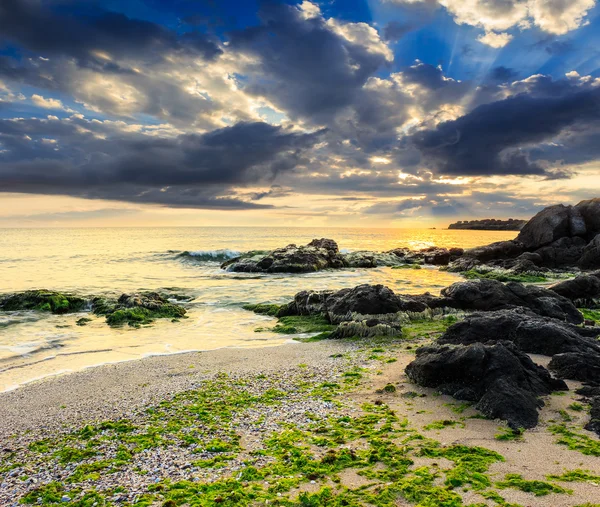 Sea waves on the sandy beach — Stock Photo, Image