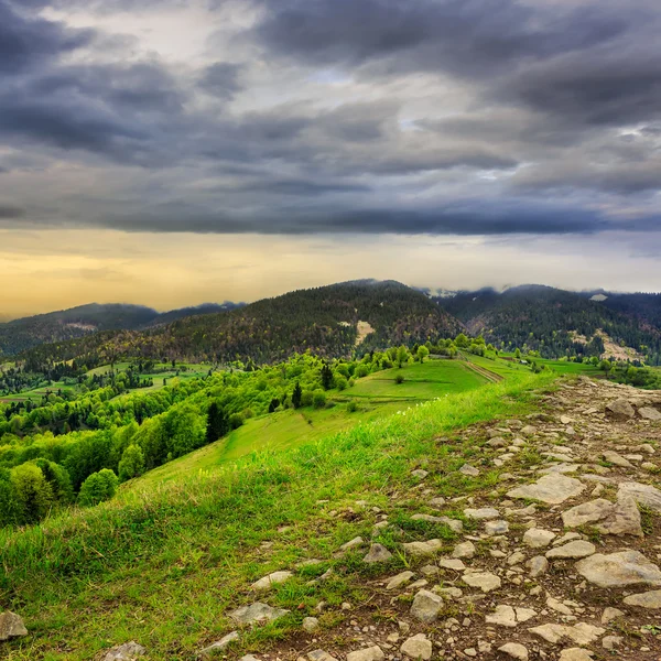 Sentiero in cima al prato di montagna — Foto Stock