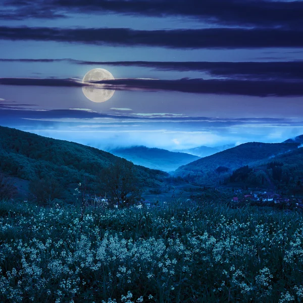 hillside gece dağ çayır çiçekler