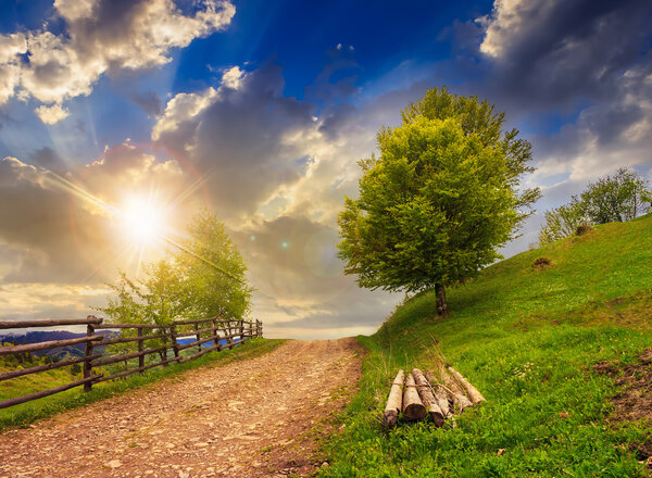 fence on hillside meadow in mountain at sunset
