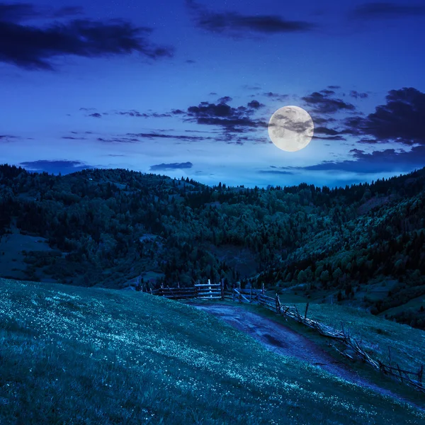 Hek op heuvel weide in berg bij nacht — Stockfoto