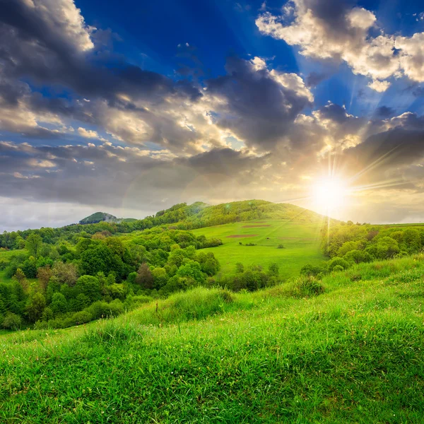 Trees near valley in mountains at sunset — Stock Photo, Image