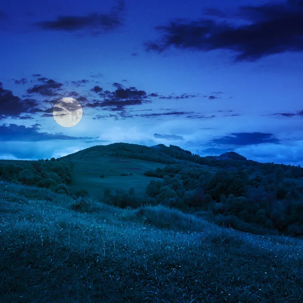 Árboles cerca del valle en las montañas — Foto de Stock