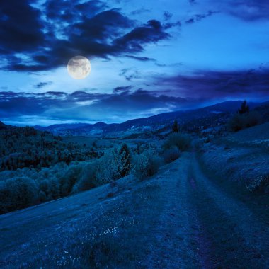 hillside çayır gece dağ yolunda