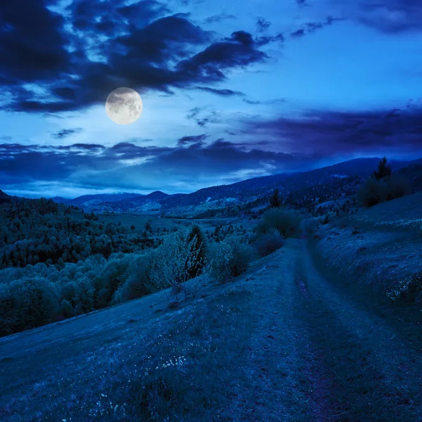 Hillside çayır gece dağ yolunda — Stok fotoğraf