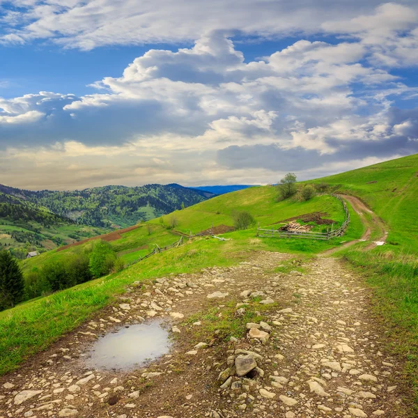 Staket på hillside äng i berg — Stockfoto