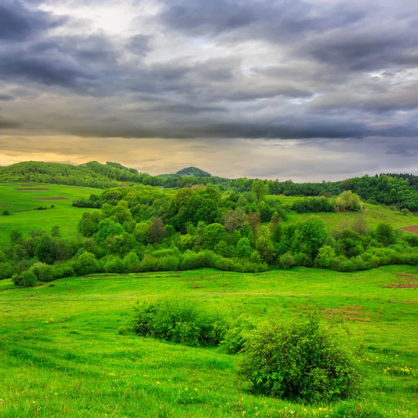 Sıkıcı bir gün yamaca dağlarda valley yakınındaki ormanda — Stok fotoğraf