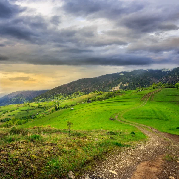 Ścieżka na wzgórzu łąka w górach — Zdjęcie stockowe
