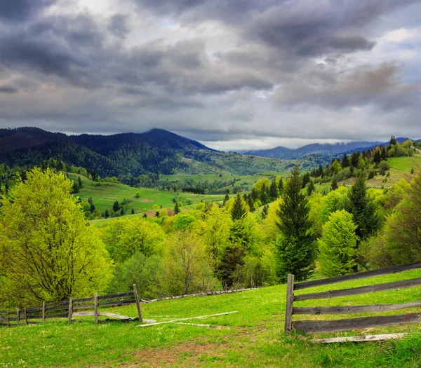 Hek op heuvel weide in Bergen — Stockfoto