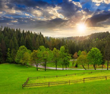 hillside günbatımında dağ çayır çit