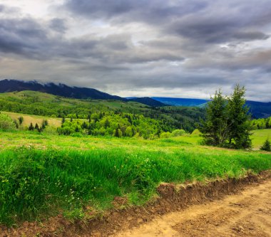 sabah yürüyüşleri