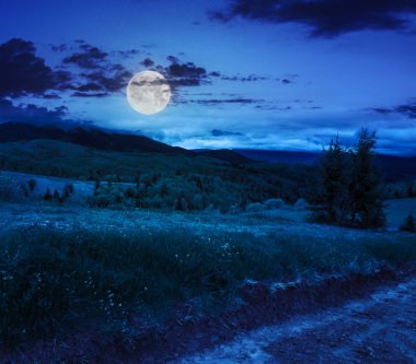 밤에 아침 산책sabah yürüyüşleri, gece
