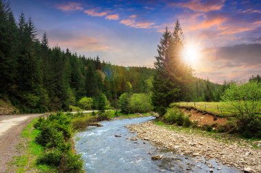 gün batımında orman Nehri yakınlarındaki yolu