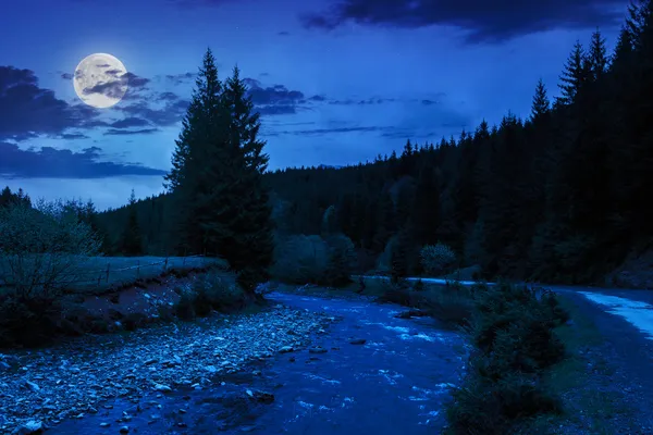 Estrada perto do rio floresta à noite — Fotografia de Stock