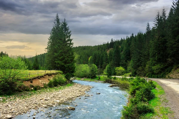 Дорога біля лісової річки — стокове фото