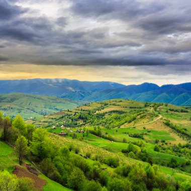 dağ orman ile hillside çayır Köyü