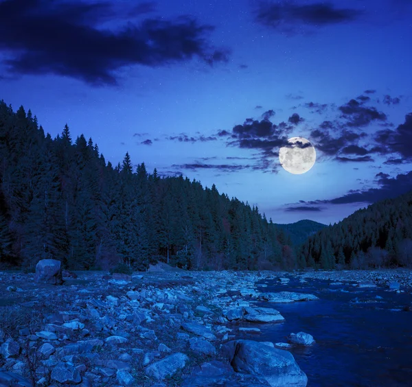 Waldfluss mit Steinen in der Nacht — Stockfoto