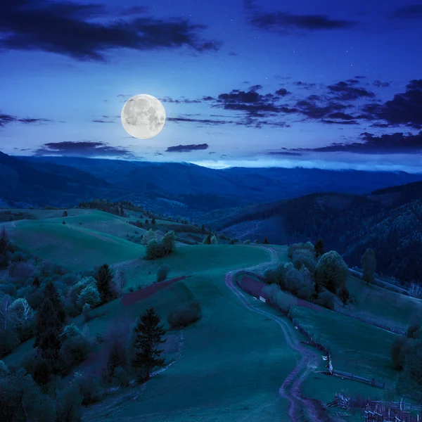 Hek op heuvel weide in berg bij nacht — Stockfoto