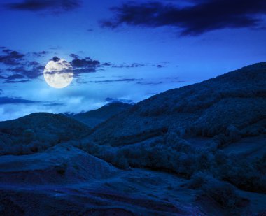 dağlarda gece yamaca valley yakınındaki ağaçlar