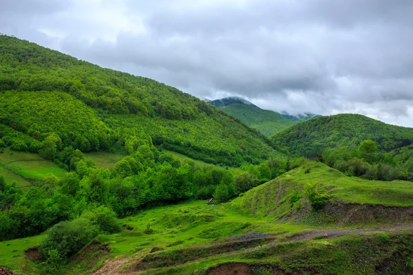 Ağaçlar yamaca dağlarda valley yakınındaki — Stok fotoğraf