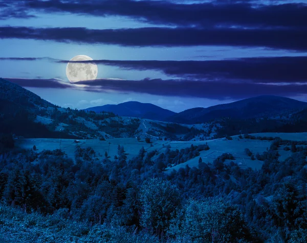 Village on hillside meadow with forest in mountain at night — Stock Photo, Image