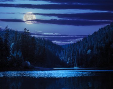 Sabahın erken saatlerinde n dağ Gölü ve çam ormanı yakınındaki