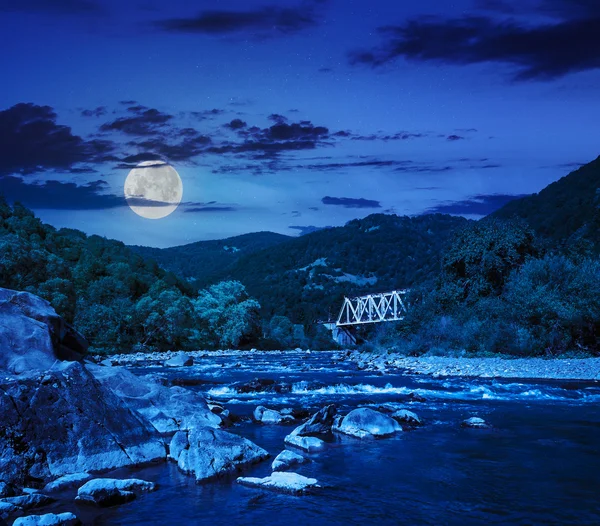 Forest river with stones and bridge — Stock Photo, Image