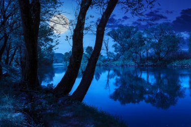 taşlar ve çim gece orman Nehri