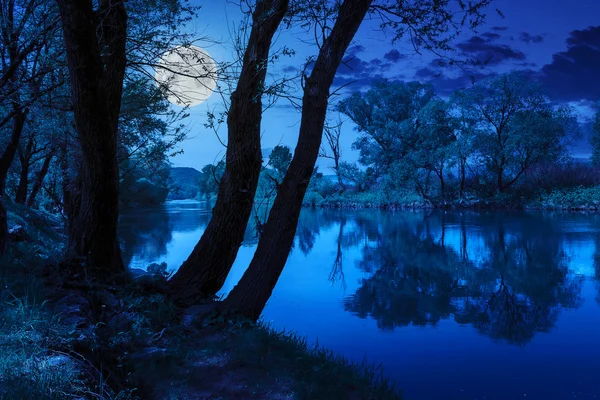 Fiume foresta con pietre ed erba di notte — Foto Stock