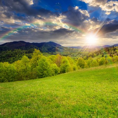 Yeşil çimenlerin üzerinde günbatımında dağ çayır hillside