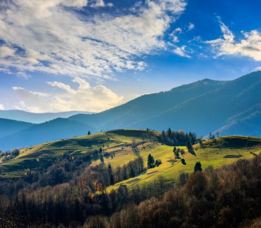 çam ağaçlarının yamaca dağlarda valley yakınındaki