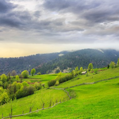 hillside dağ çayır çit
