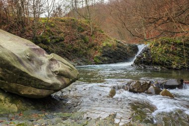 Orman nehir taşları ve moss ile