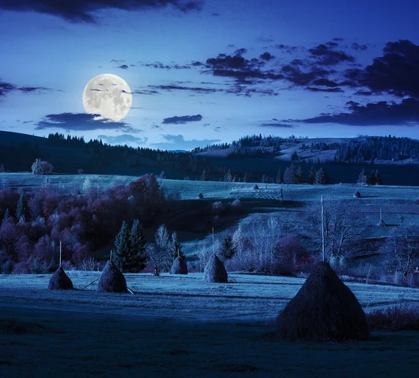 Поле рядом с домом на ночь — стоковое фото