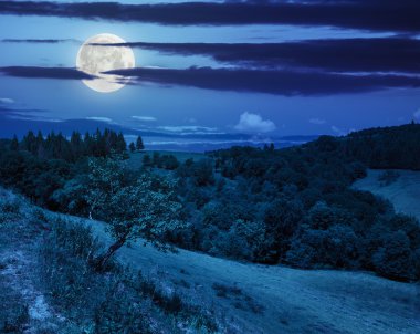 ağaçların geceleri dağlarda valley yakınındaki