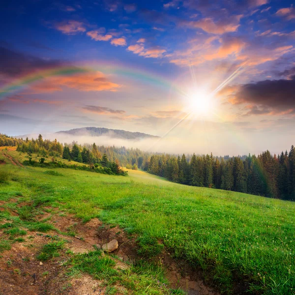 Nebbia fredda nella foresta di montagna al tramonto — Foto Stock