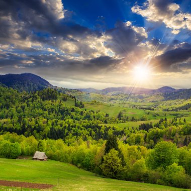 çayır hillside günbatımında dağ çayır on