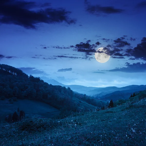 Studená mlha na lesa v horách v noci — Stock fotografie