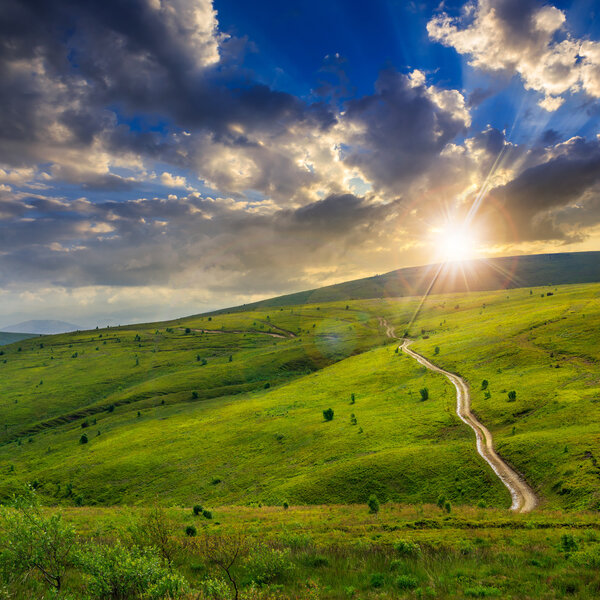 road through a meadow on the hillside at sunset