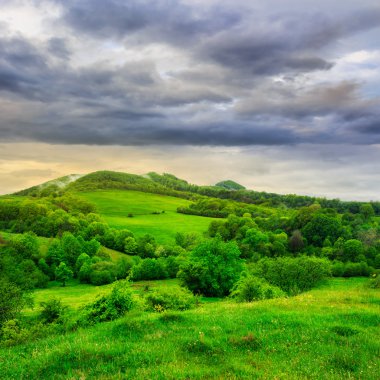 Orman dağlarında Çayır yakınındaki 