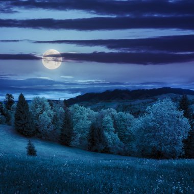 Ormanın yakınında gece dağlarında çayır
