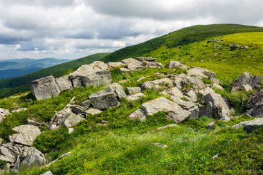 ışık orman ile taş dağ yamacında