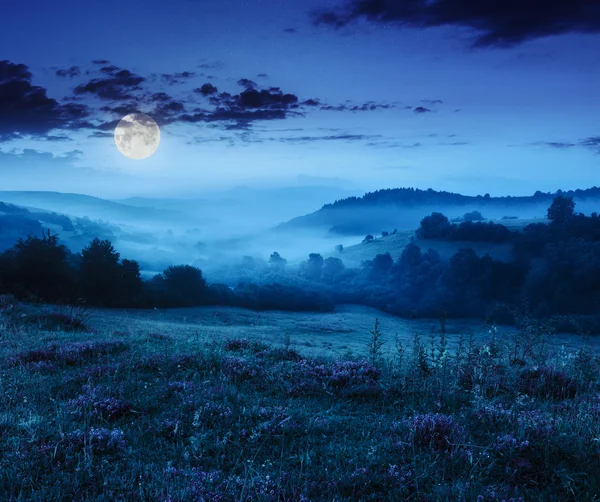 Koude mist in Bergen op bos bij nacht — Stockfoto