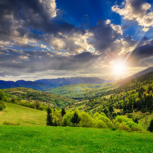 Alberi vicino a prato in montagne al tramonto — Foto Stock