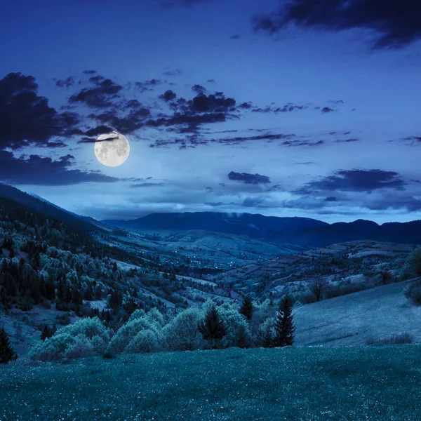 Drzewa w pobliżu łąka w górach w nocy — Zdjęcie stockowe