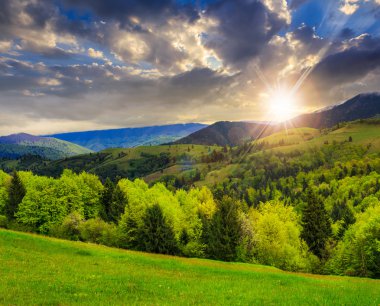 gün batımında dağlarda valley yakınındaki ağaçlar
