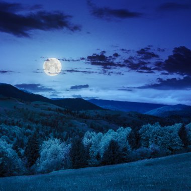 ağaçların geceleri dağlarda valley yakınındaki
