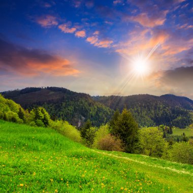 gün batımında dağlarda valley yakınındaki ağaçlar